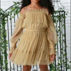 Ooh! La La Couture Girls Gold Sparkle Every Dress Size 5 and 4T
